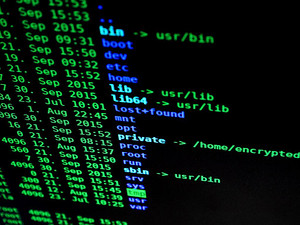 綠色信息科技的嶄新篇章 自然電子產品中的集成板處理器特寫