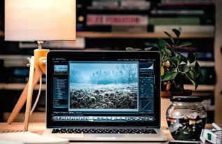 編程熱潮持續 QS預測2020年計算機編程仍為前景最佳行業